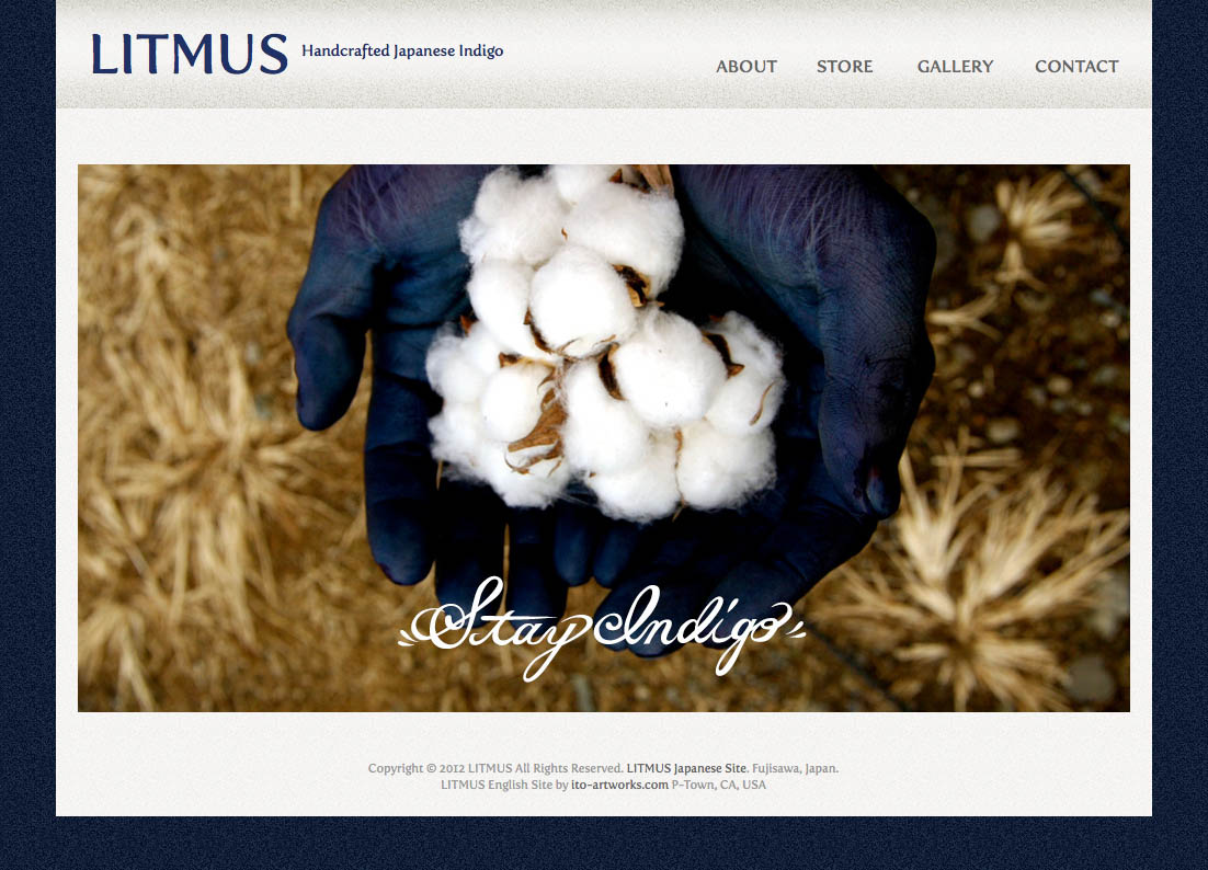 Website Litmus