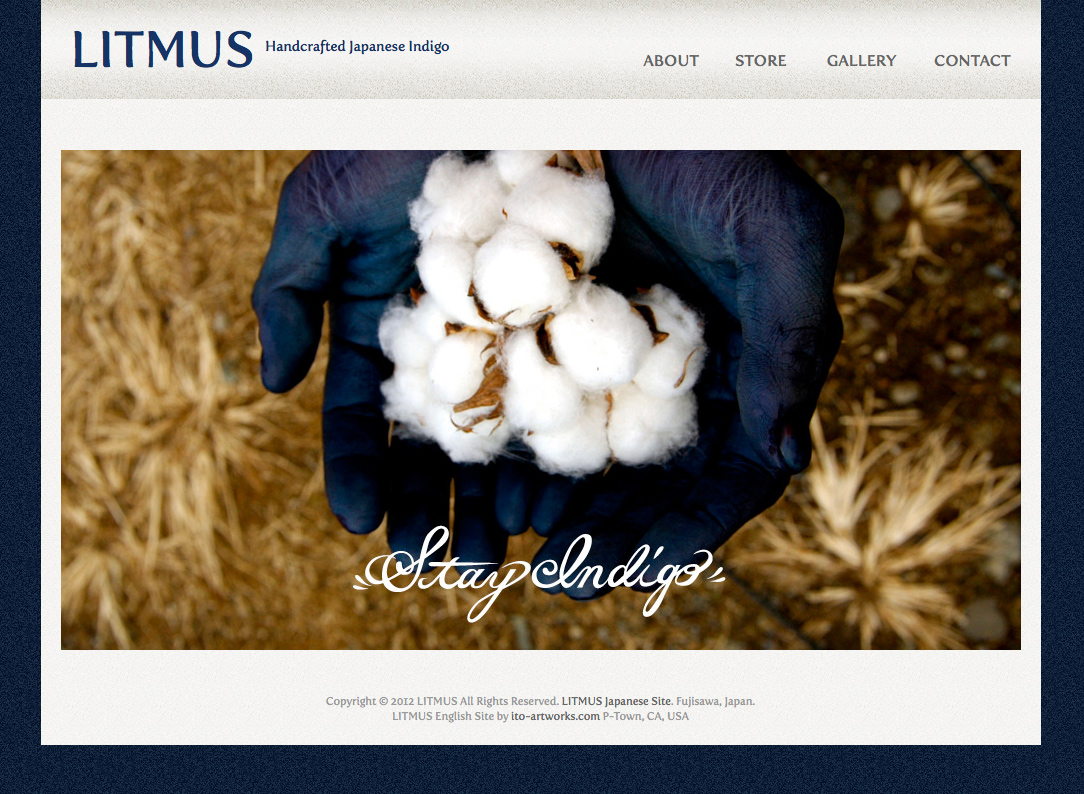 litmus website, design by emi