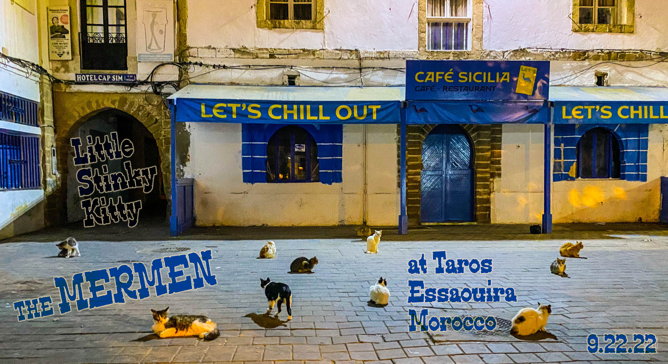 20220922 THE MERMEN cats near Taros Essaouira Morocco emi